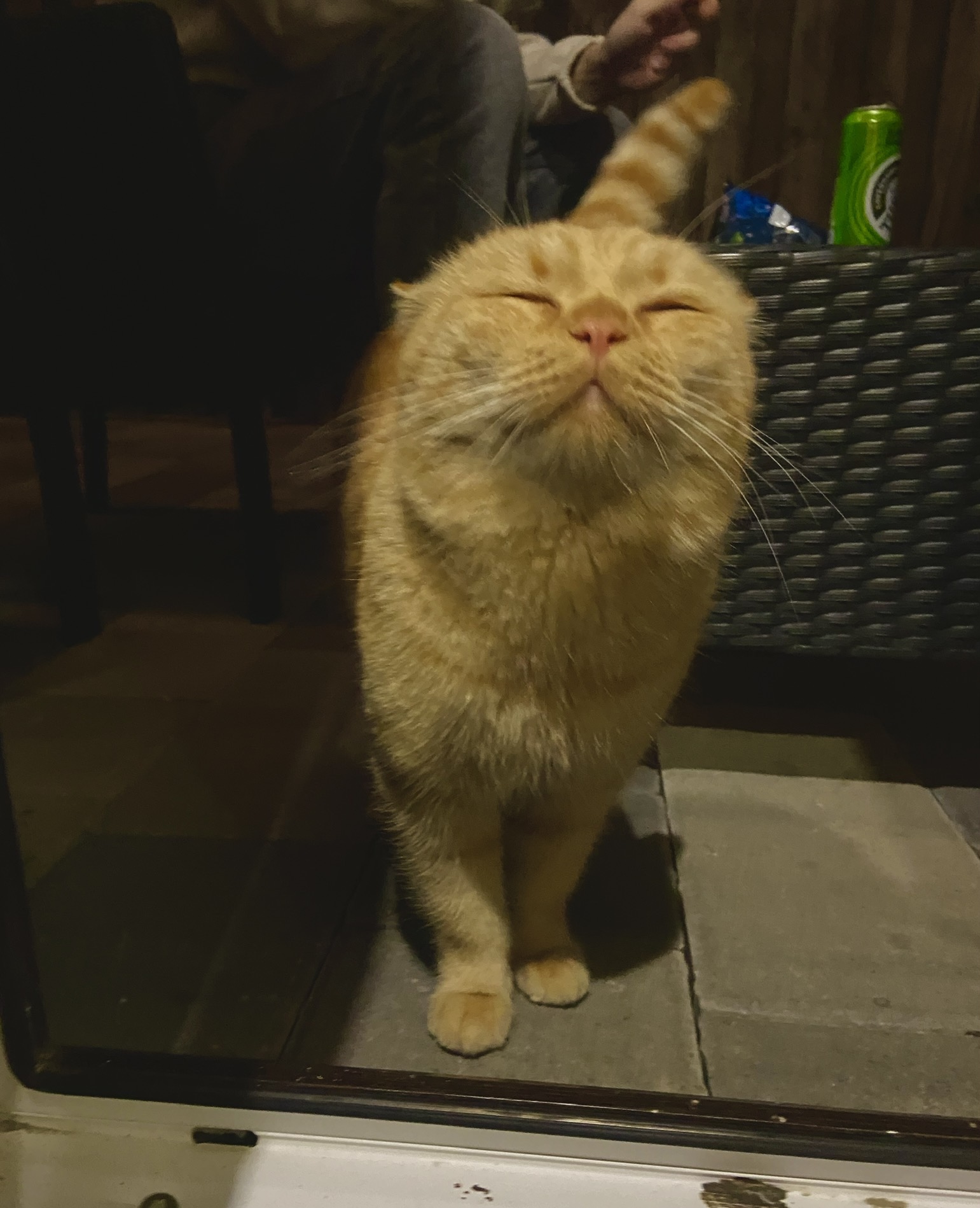 Фото Премьер