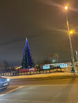 Christmas tree (Moscow Region, Domodedovo, Severniy Subdistrict, Gagarina Street), city tree