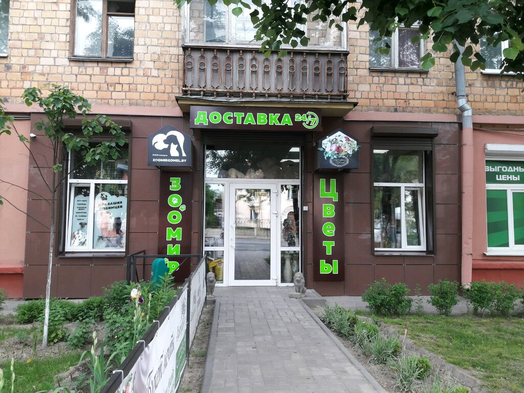 Интернет Магазин Цветов Гомель