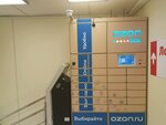 Ozon Box (Novoizmaylovskiy Avenue, 28к2) ، الطرود الآلي