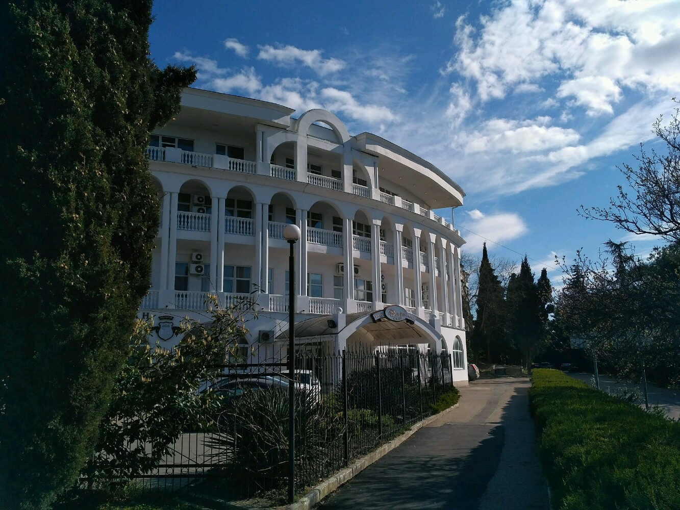 Фото Дельфин