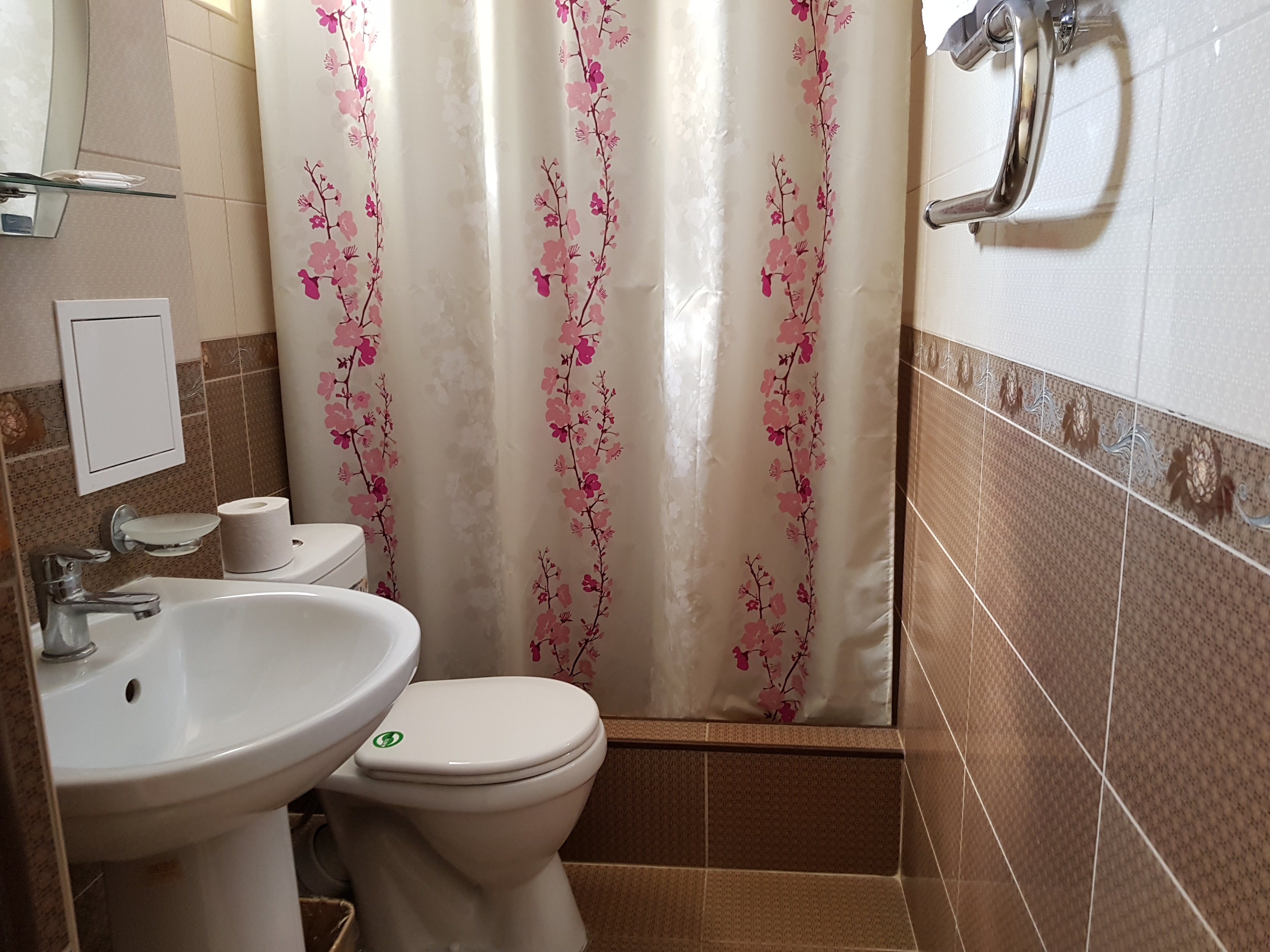 Фото Феникс