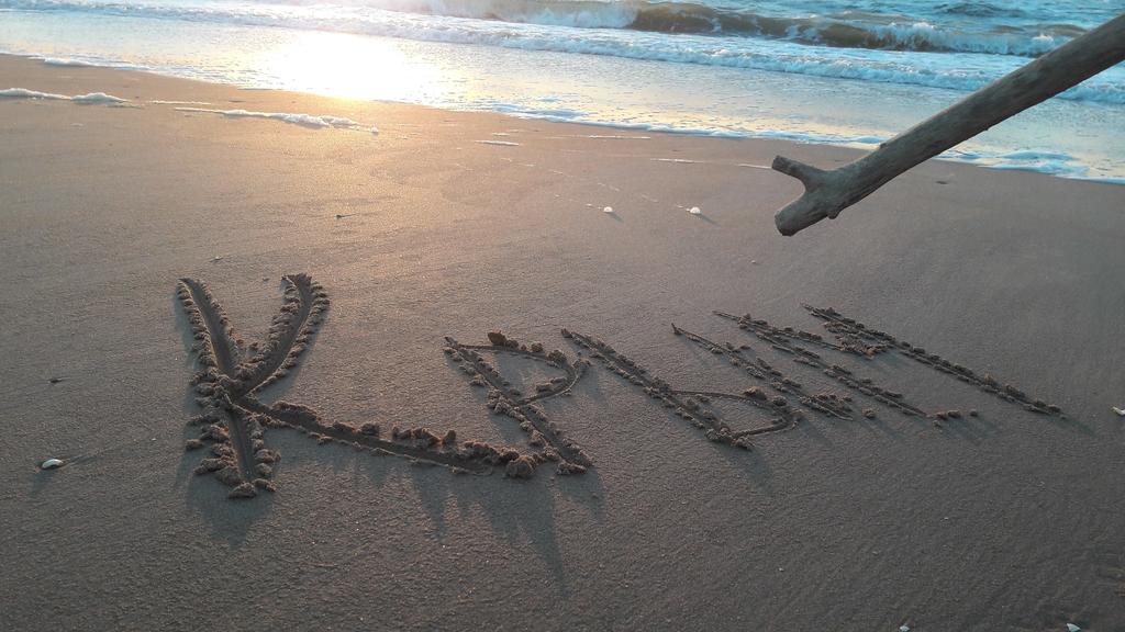 Фото Жемчужина