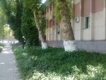 Kurilish Montazh Boshkarmasi (Sultoniya Street, 15A), compañía de construcción