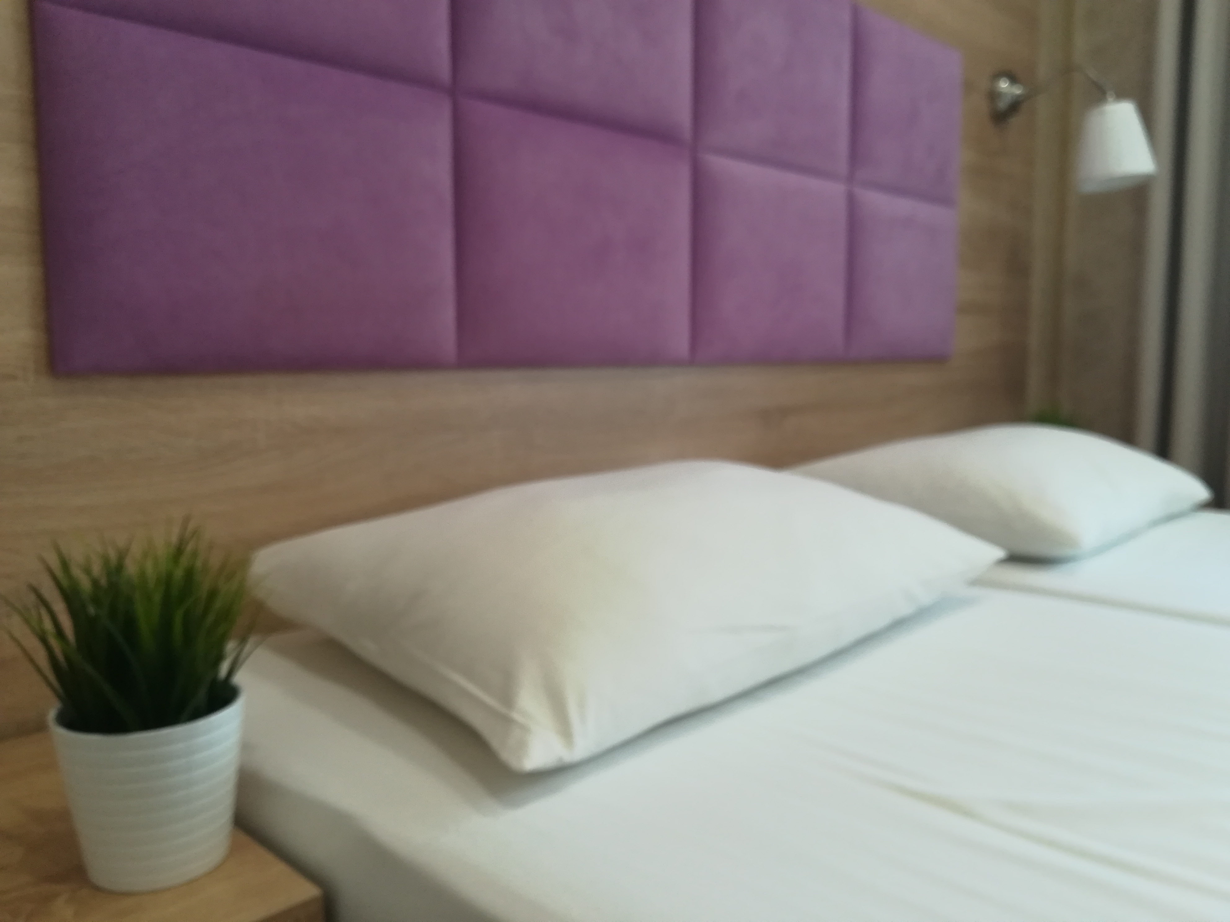 Фото Амосов