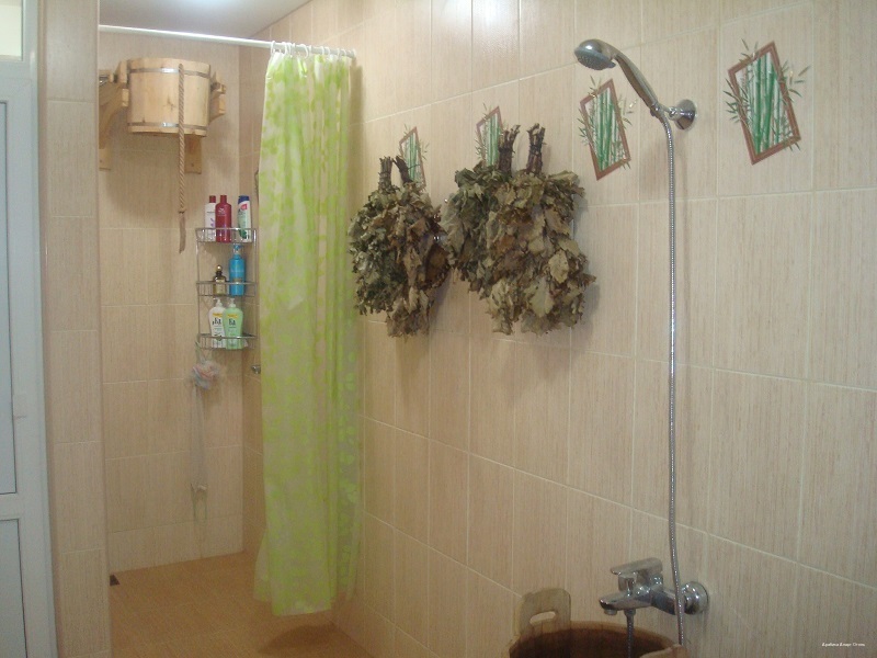 Фото Арабика