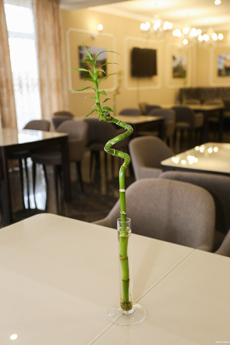 Фото Звезда Тамани