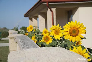 Фото Александрия