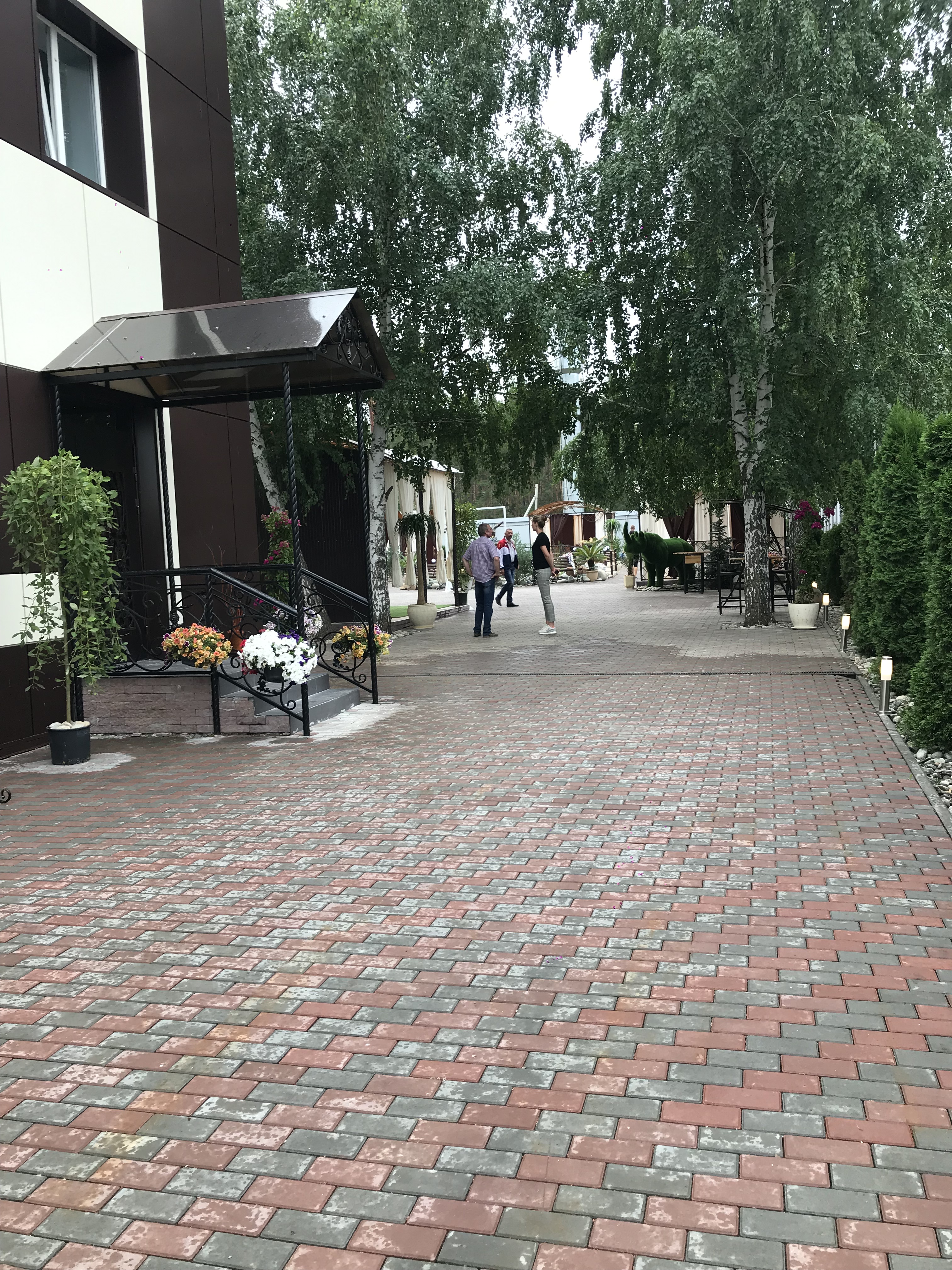 Фото Белые ивы