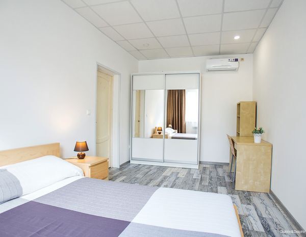 Фото Дублин Дельфин