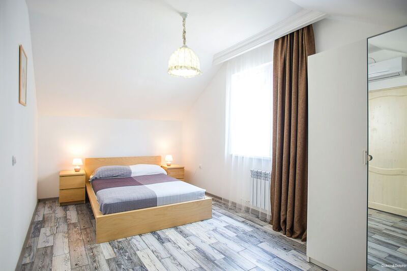 Фото Дублин Дельфин