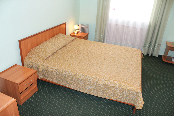 Фото Золотой лев