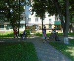 Фото 8 Страхование и оценка