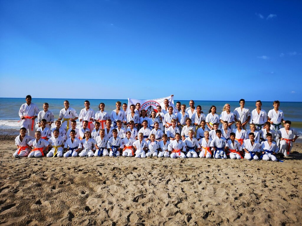 نادي رياضي، مجموعة Kyokushin karate ، ليبيتسك، صورة