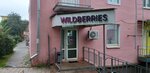 Wildberries.ru (Dvoryanskaya ulitsa, 5/1), point of delivery