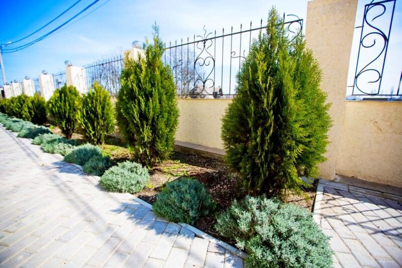 Фото Империал