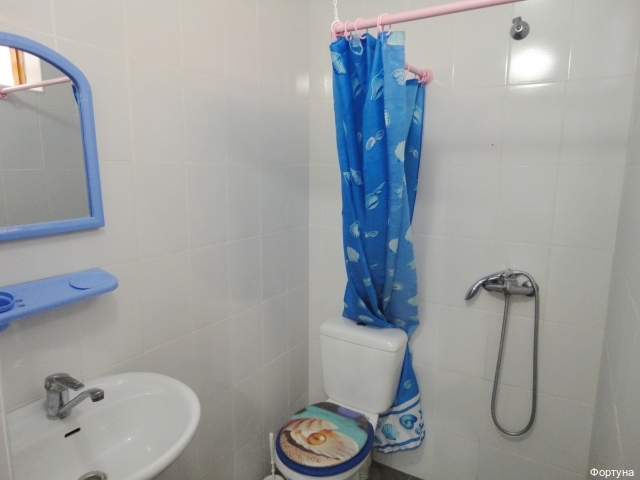 Фото Фортуна