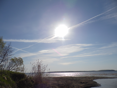 Фото Отдых на Волге