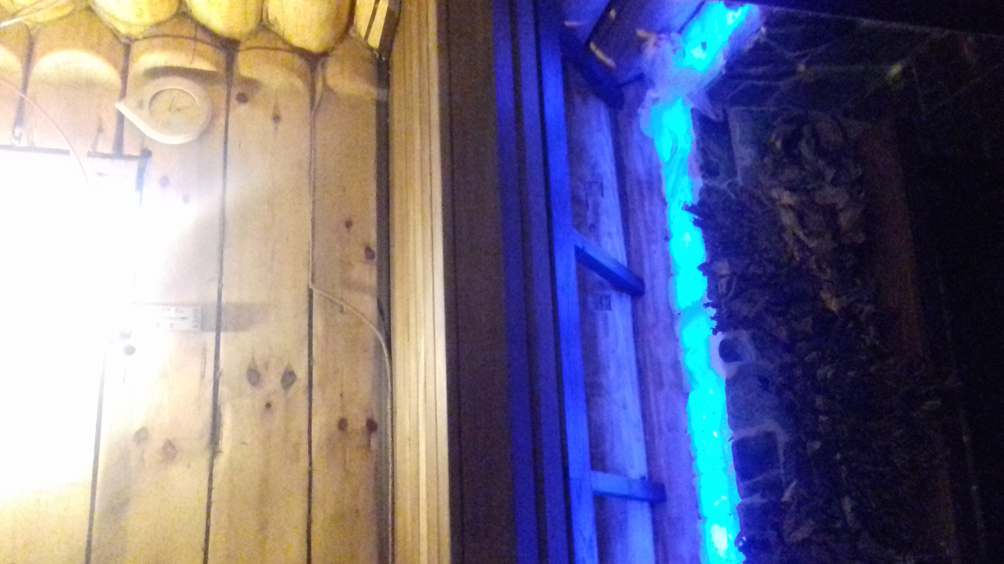 Фото Отдых на Волге