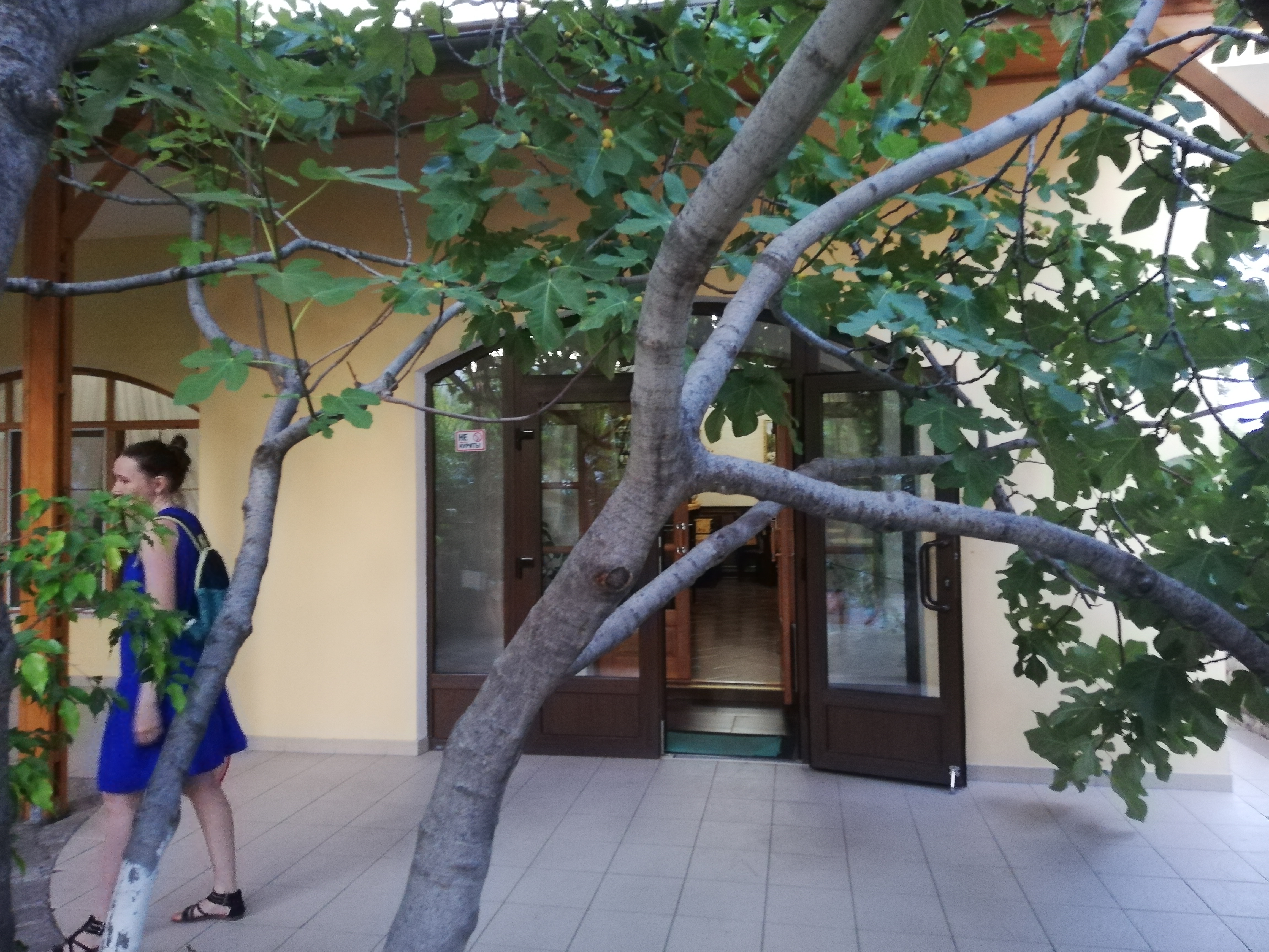 Фото Натали