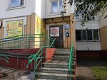 Святогор (Marshala Kozheduba Street, 14), sports school