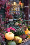 Lavka Tsvetov (Kirochnaya Street, 5), flowers and bouquets delivery