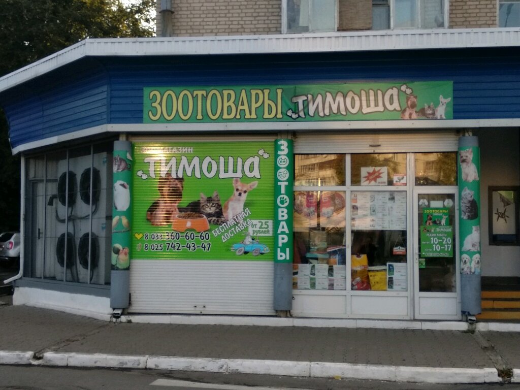Тимоша Зоомагазин Гомель Интернет Магазин
