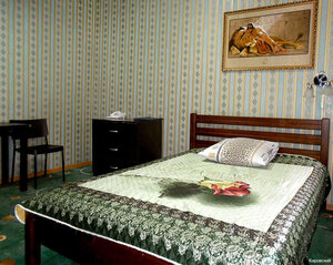 Kirovsky (Novosibirsk, Petukhova Street, 67), hotel