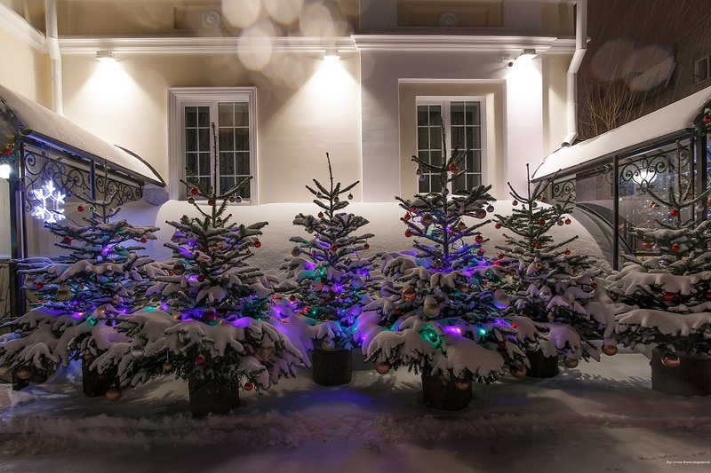 Фото Александровский