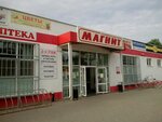 Magnit (selskiy posyolok Burevestnik, ulitsa Gagarina, 9), grocery