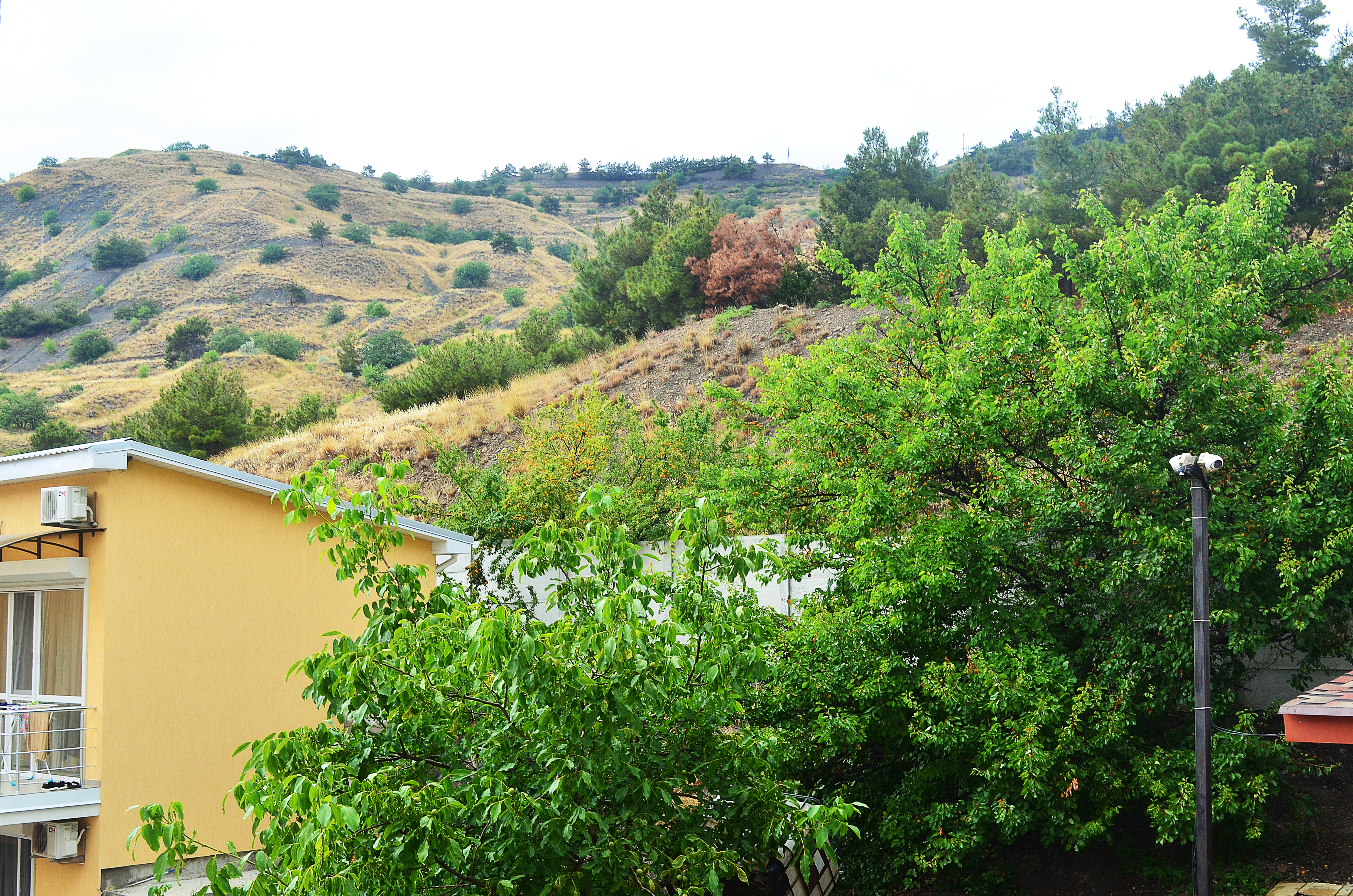 Фото Гд № 10