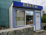 Магазин цветов (Kopylova Street, 72/2), flower shop