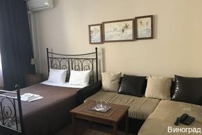 Фото Виноград