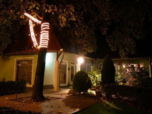 Гостиница Tinódi Hotel és Étterem в Ваше