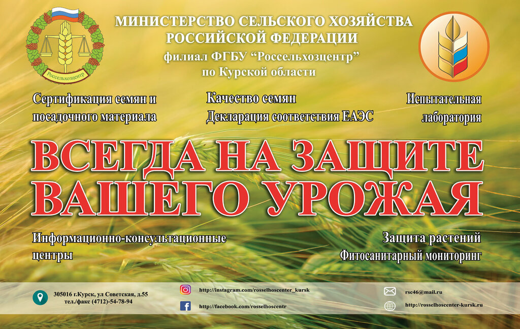 Government ministries, services Rosselkhoztsentr Filial po Kurskoy oblasti, Kursk, photo