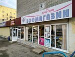 Зоомагазин (Yunosheskaya ulitsa, 16) ، متجر للحيوانات الأليفة