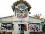 Нептун (Karpinskogo Street, 24В), bar, pub