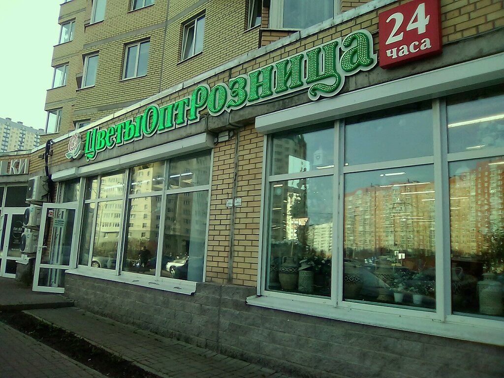 Магазин Цветов На Туристской Улице Москва