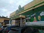 Салон цветов (ulitsa Rabochego Shtaba, 12), flower shop