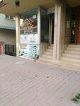 Elit Construction & Building (İstanbul, Esenyurt, Güzelyurt Mah., 2104. Sok., 28B), construction company