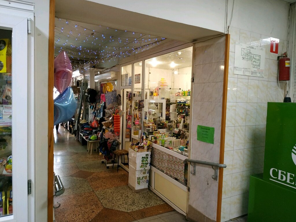 Household goods and chemicals shop 1000 melochey, Sochi, photo