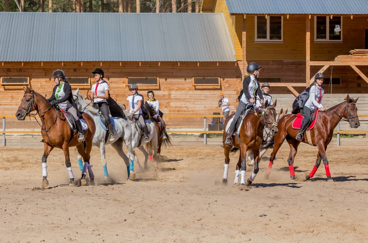 Город спорта желнинское ш 4 дзержинск фото