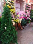 Ирга (Казначейская ул., 6), искусственные растения и цветы в Санкт‑Петербурге