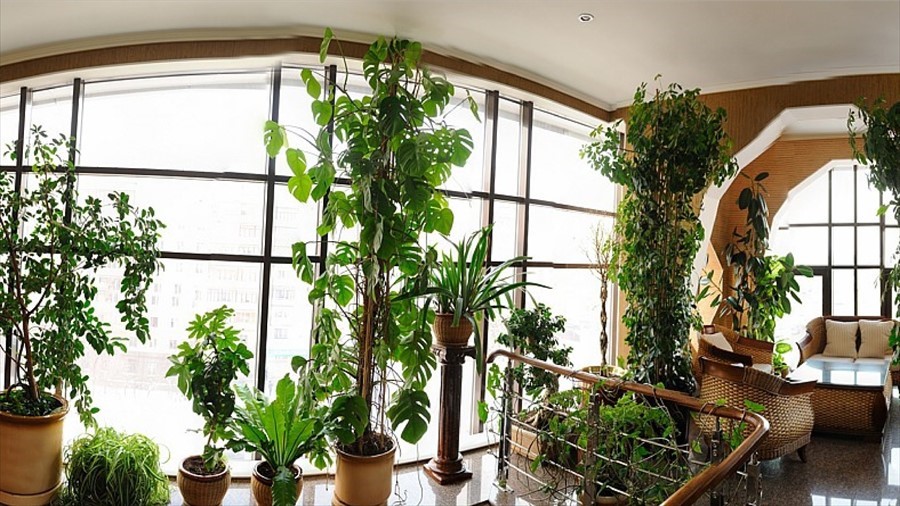 Фото Ричмонд