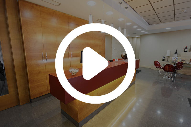 Фото Hotel Condes de Haro