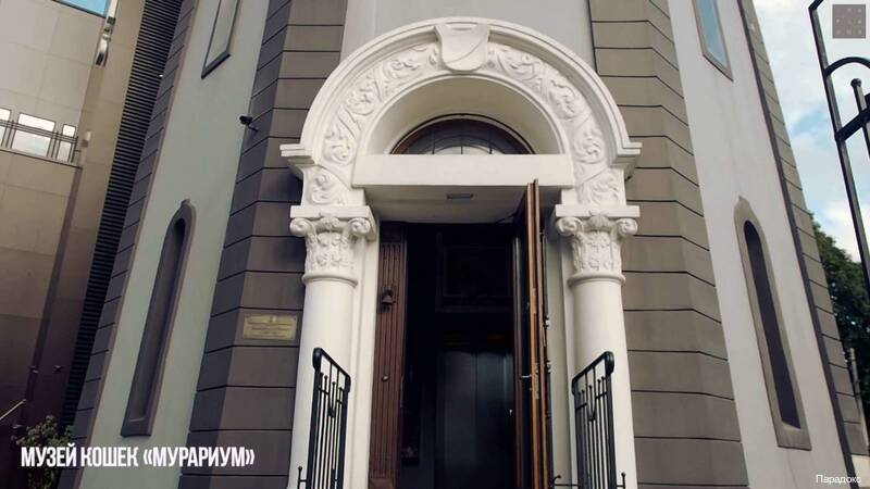 Фото Параdox