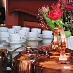 Фото Hotell Moskogen