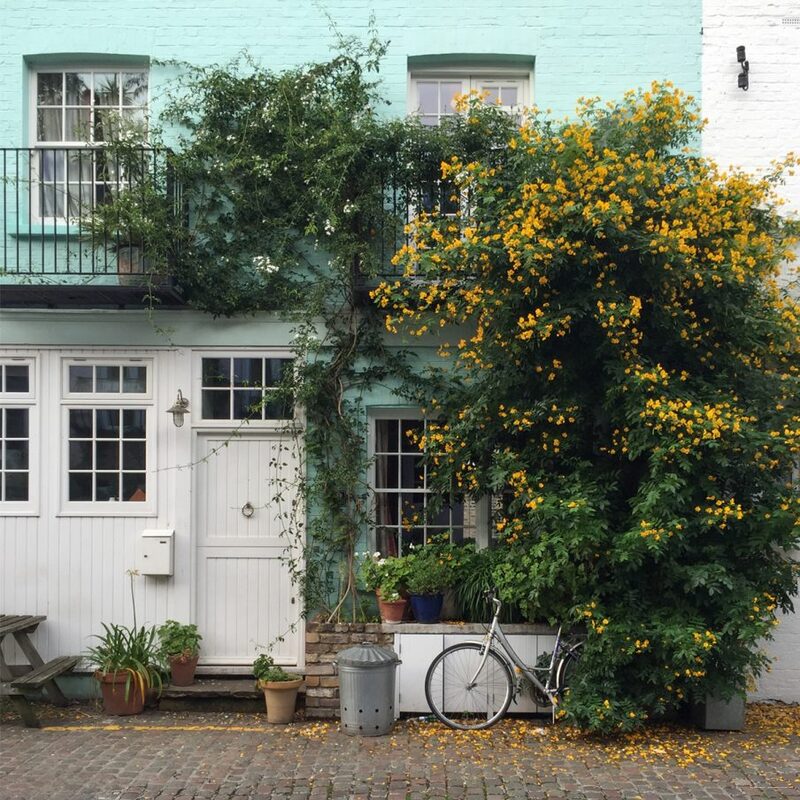 Фото The Dorchester