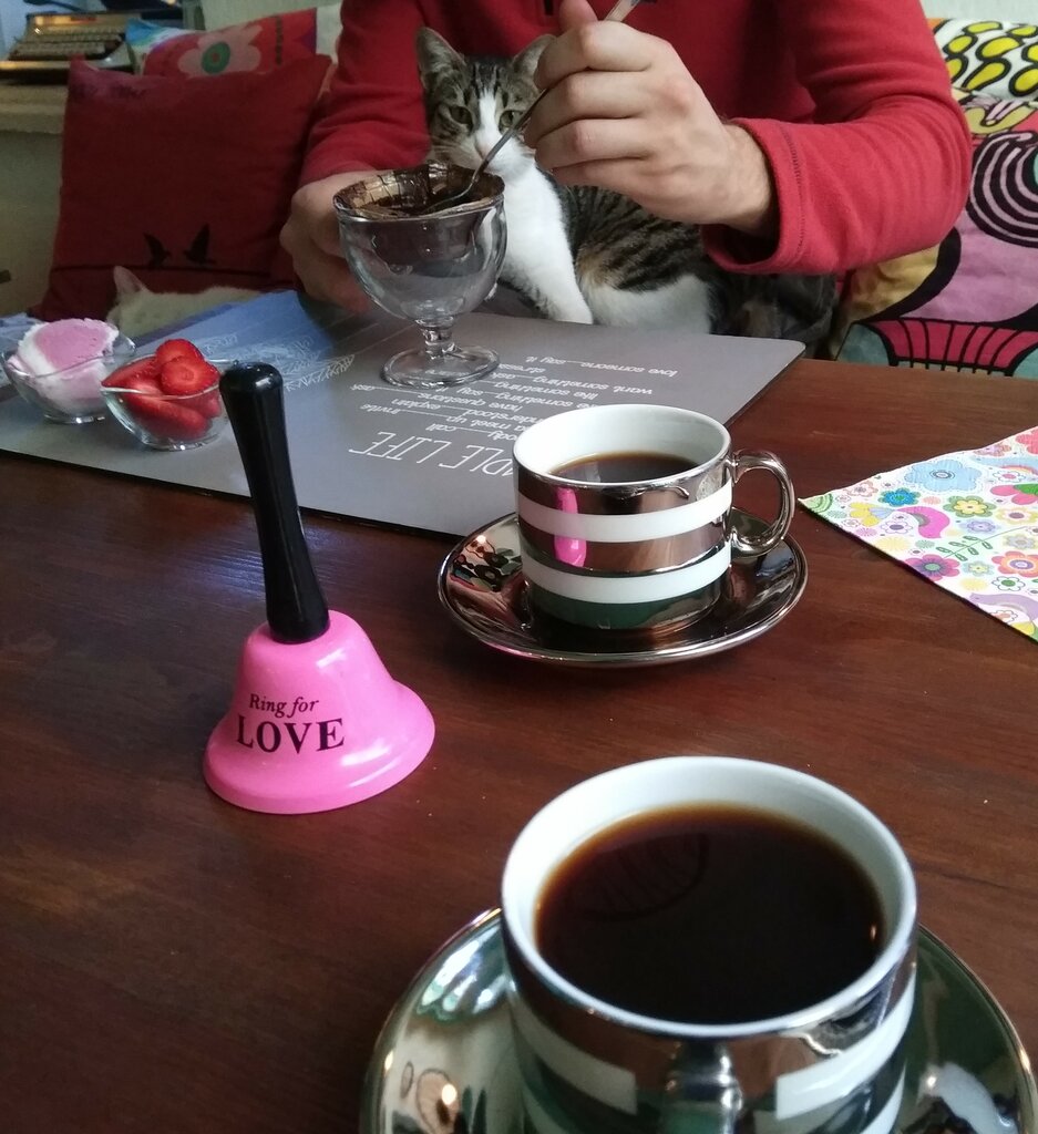 Coffee shop Derdiyoklar Cafe, Cesme, photo