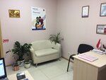 Фото 4 Страхование